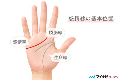 第二感情線|二重感情線とは？ 長い・短いなど種類別の意味を解。